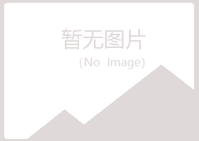 城厢区女孩会计有限公司